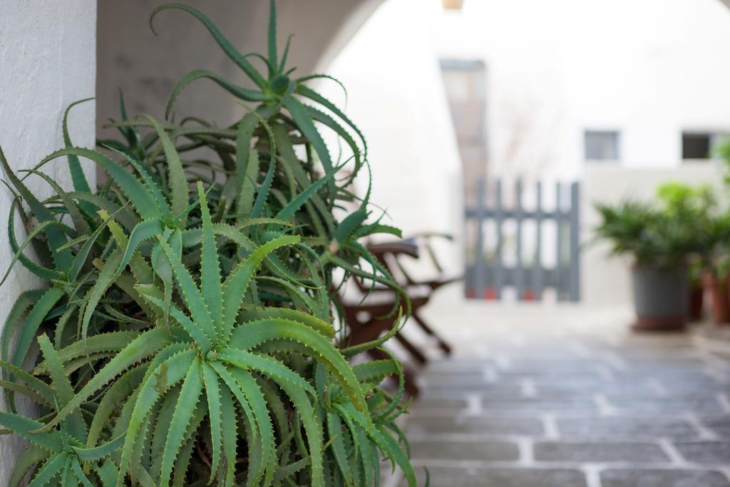 Castro Hotel Folegandros Island ภายนอก รูปภาพ